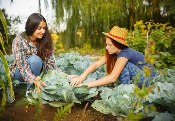 happy-young-family-during-picking-berries-garden-outdoors-love-family-lifestyle-harvest-autumn-concept.jpg