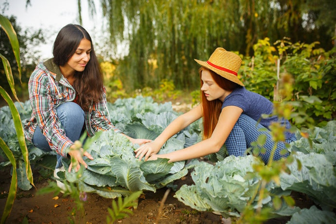 happy-young-family-during-picking-berries-garden-outdoors-love-family-lifestyle-harvest-autumn-concept.jpg