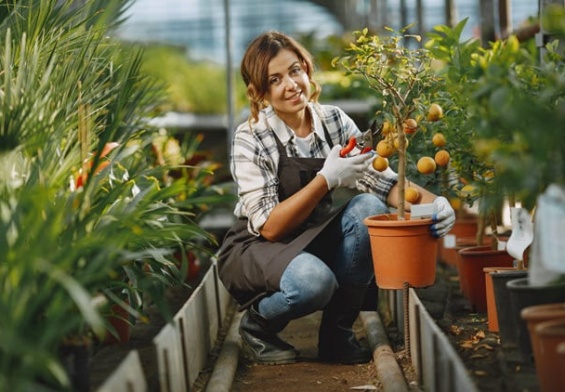 worker-take-care-flowerpoots-girl-white-shirt-woman-gloves.jpg