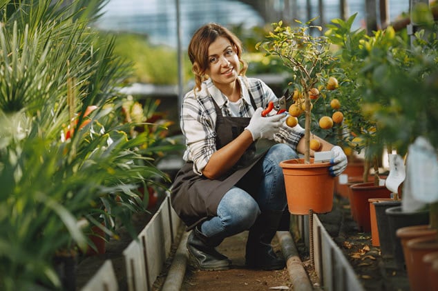 worker-take-care-flowerpoots-girl-white-shirt-woman-gloves.jpg